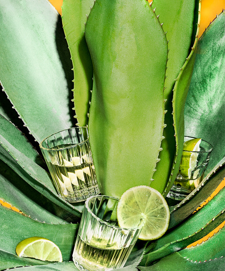 VinePair | The 30 Best Tequilas for 2023